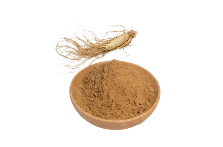 panax-ginseng
