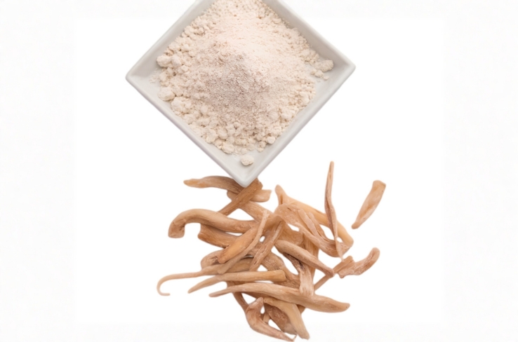 safed-musli-side